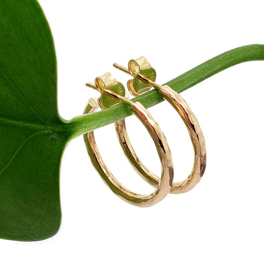 Hammered 14K yellow gold hoop earrings displayed on a green leaf