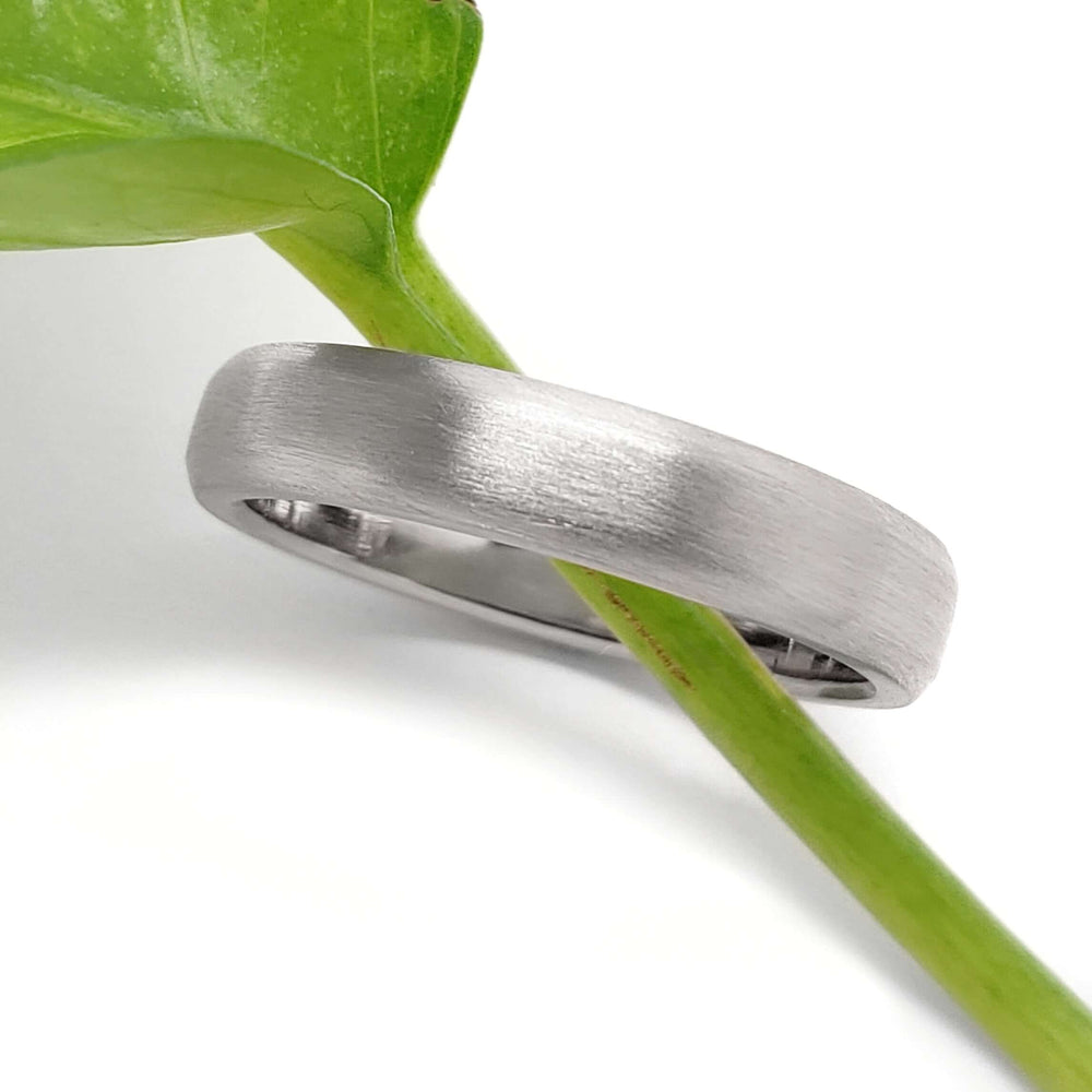 14k white gold brushed wedding ring displayed on a green plant stem