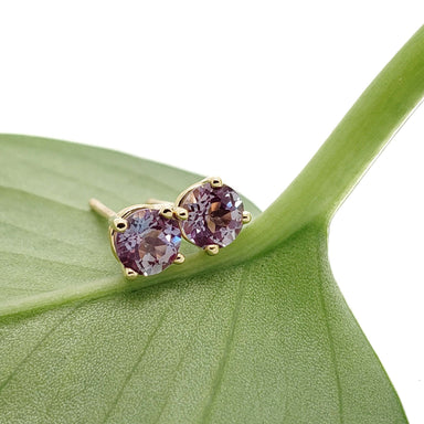 Lab-grown alexandrite stud earrings in 14k yellow gold displayed on a green leaf