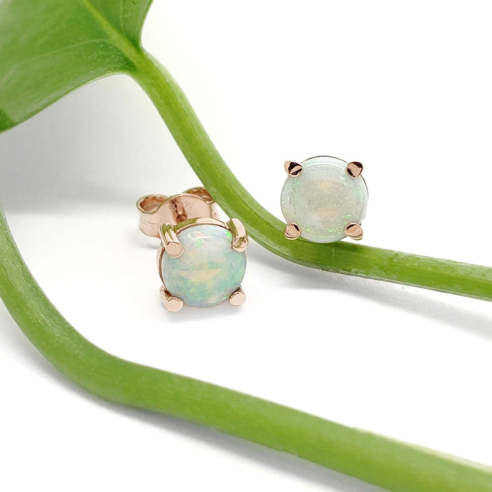 Round cabochon opal stud earrings in 14kt rose gold resting on a green plant stem