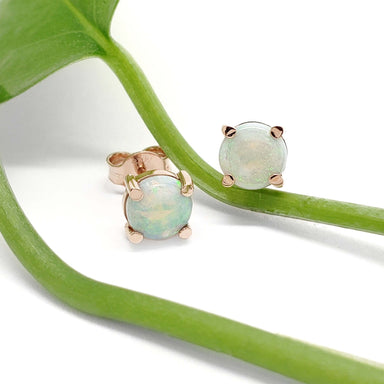Round cabochon opal stud earrings in 14kt rose gold resting on a green plant stem