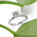 14kt white gold lab diamond engagement ring beside green leaves, angled view