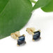 14kt yellow gold London blue topaz stud earrings with green leaf background