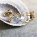 Close-up of 14kt yellow gold cabochon moonstone stud earrings resting in a shell