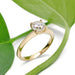 14kt yellow gold lab diamond engagement ring with solitaire setting, beside green leaves