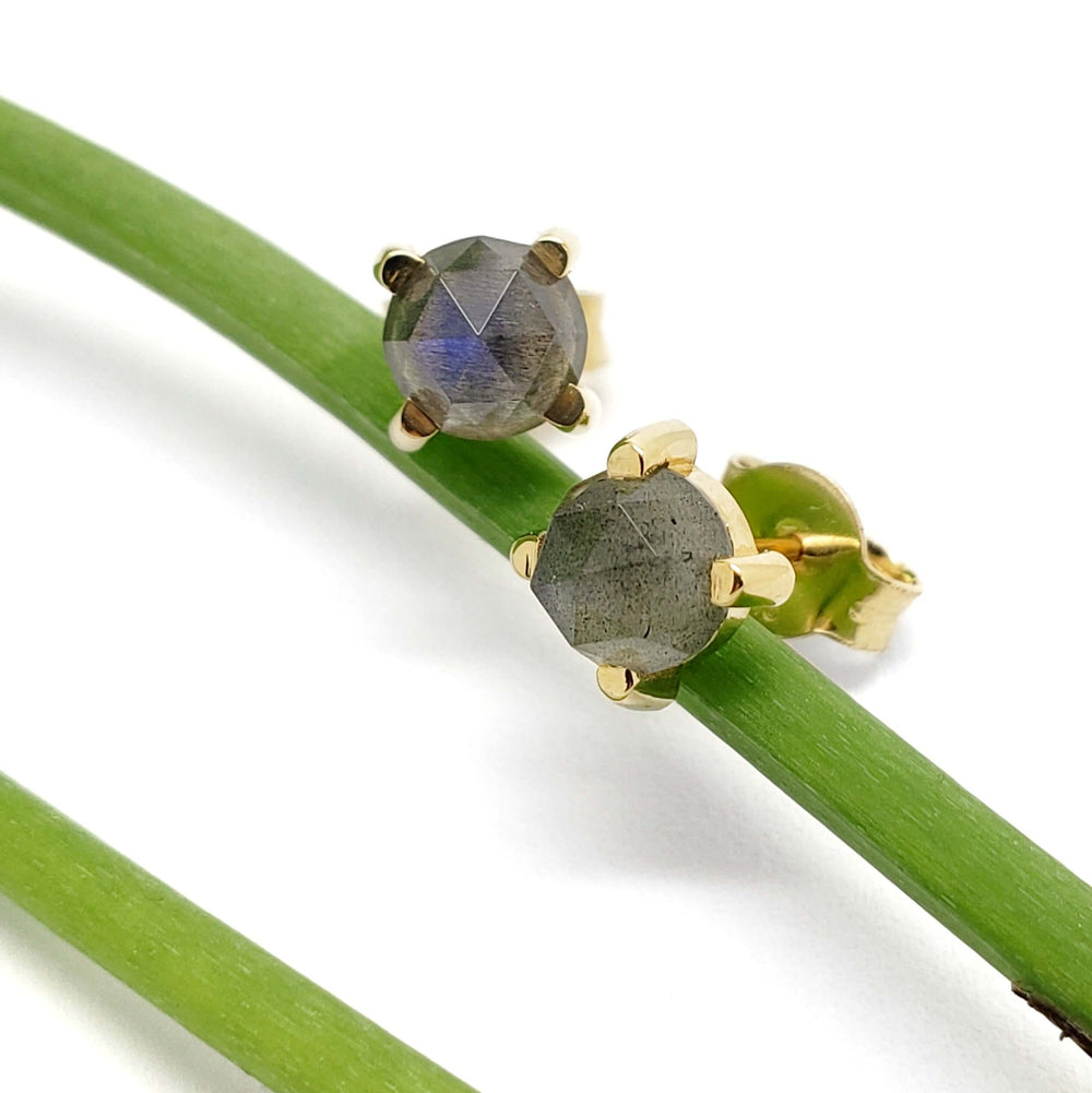 14kt yellow gold labradorite stud earrings resting on a green stem