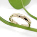 14kt yellow gold low dome wedding ring with high polish, styled with green leaf