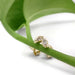 Marquise lab diamond stud earrings in 14kt yellow gold displayed on a green plant stem