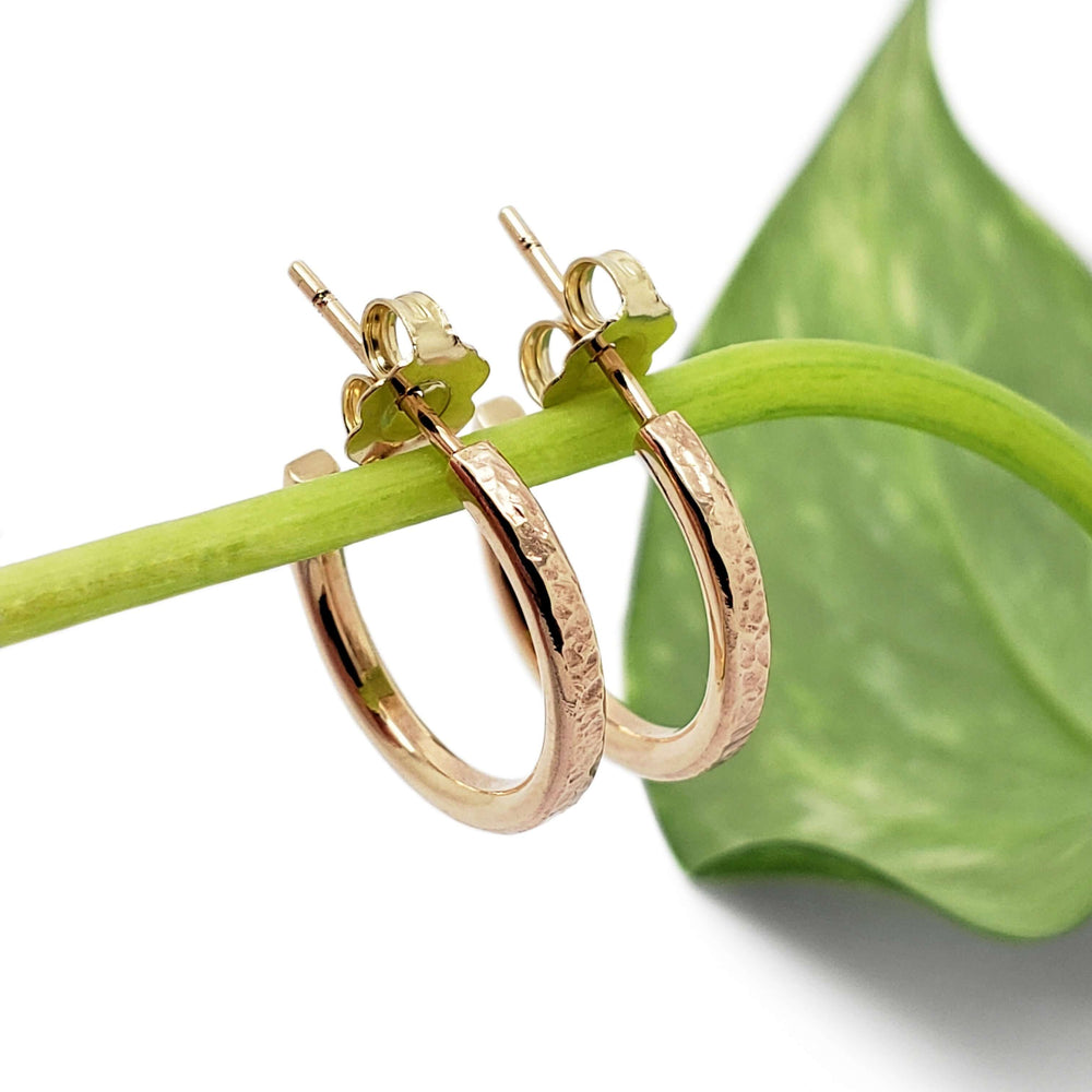 14kt yellow gold textured hoop earrings displayed on a green plant stem