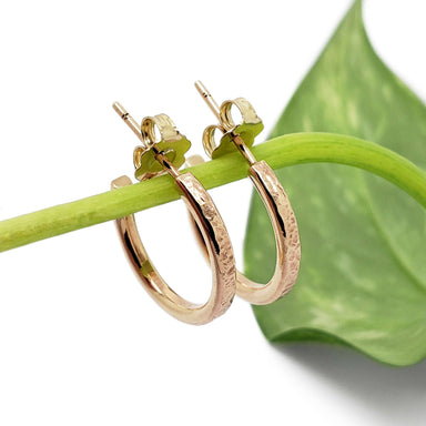 14kt yellow gold textured hoop earrings displayed on a green plant stem