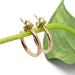 14kt yellow gold textured hoop earrings displayed on a green plant stem