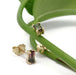 14kt yellow gold watermelon tourmaline baguette stud earrings resting on a green leaf