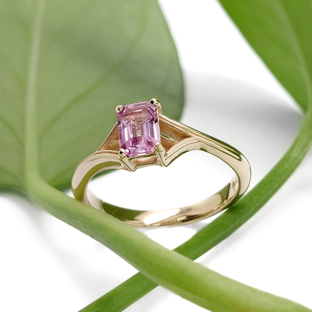Twig Yellow | Pink Sapphire