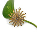 Edwardian Seed Pearl Pendant-Brooch | Era Design Vancouver Canada