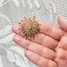 Edwardian Seed Pearl Pendant-Brooch | Era Design Vancouver Canada