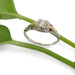 Antique diamond ring in two-tone 14kt white and yellow gold, displayed on a green stem