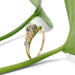 Antique diamond ring in yellow and white gold, displayed with green leaves
