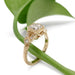 Art Deco style 14kt yellow gold ring with asscher cut lab diamond shown on a green leaf