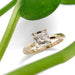 Asscher cut lab diamond solitaire ring in yellow gold beside green plant