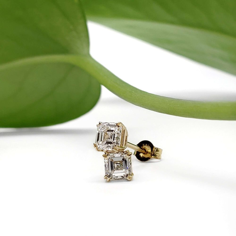Asscher cut lab diamond studs in 14kt yellow gold displayed with a green leaf