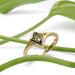Kite-shaped Australian sapphire engagement ring in 14kt yellow gold on white background with green leaves