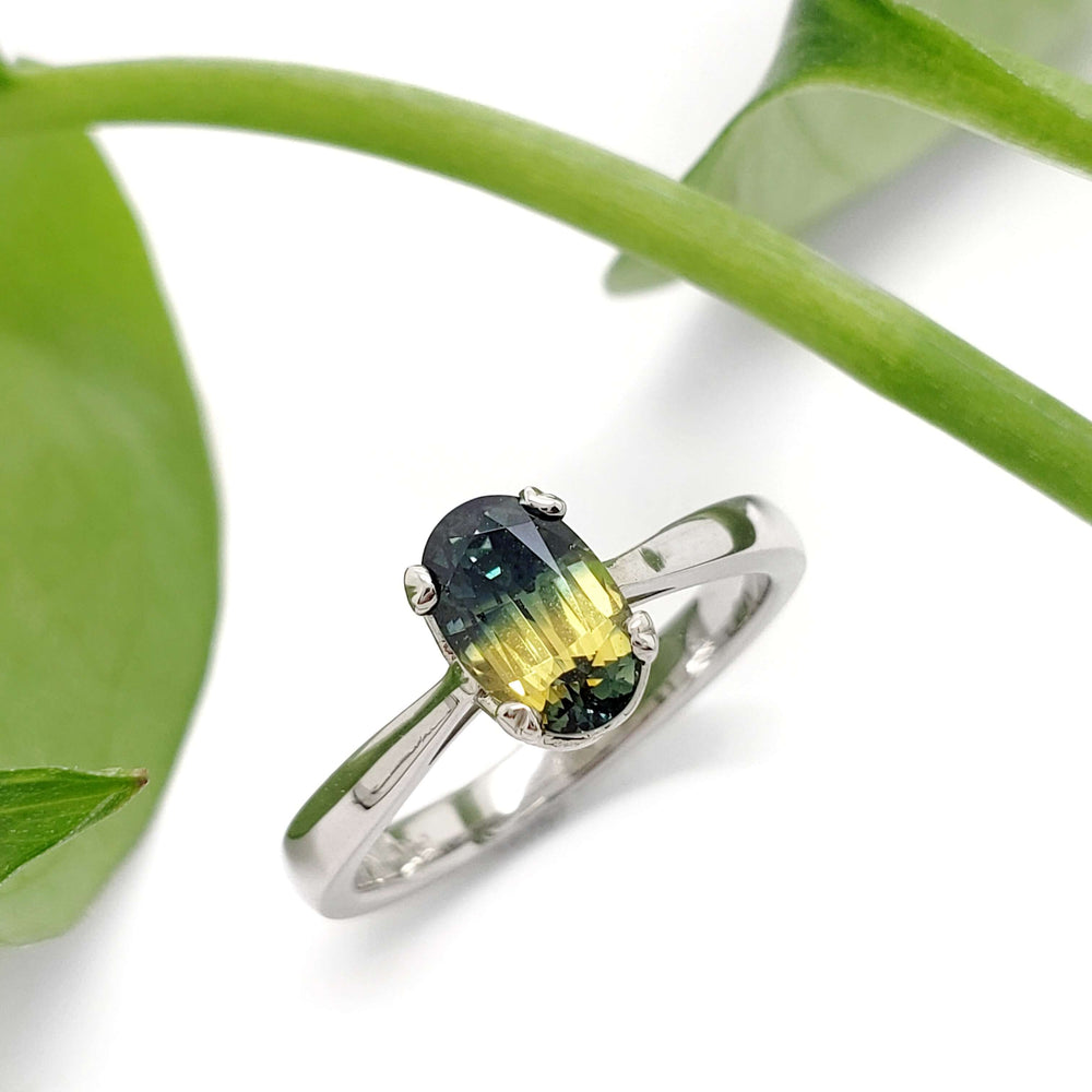 Australian sapphire engagement ring in white gold shown with green leaves