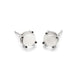 Pair of cabochon moonstone stud earrings in 14kt white gold on white background