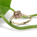 Champagne diamond engagement ring in yellow gold with Canadian side diamonds, styled with greenery