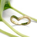 Chevron millgrain wedding ring in yellow gold displayed with green leaves