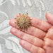 Edwardian 14kt yellow gold and seed pearl sunburst pendant-brooch shown in hand