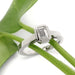 Emerald cut lab diamond ring in 14kt white gold resting on green leaves