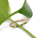 Engraved 14kt yellow gold wedding ring displayed on a green leaf