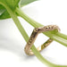Engraved 14kt yellow gold chevron wedding ring styled with green plant stems