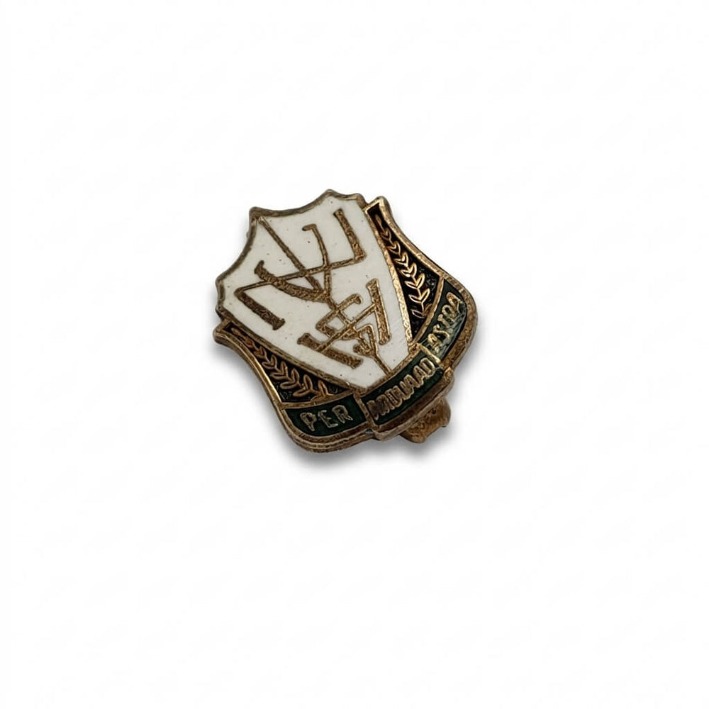 Vintage Enamel Pins