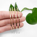 Four hammered 14kt yellow gold bangles displayed on fingers with green leaves