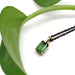 Emerald cut green tourmaline pendant in yellow gold on a black chain with green leaf