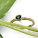 Hand-engraved yellow gold ring with teal Montana sapphire, shown with green leaves