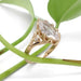 Hand engraved 14kt yellow gold ring with marquise lab diamond and side Canadian diamonds