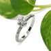 Handcrafted white gold engagement ring with antique diamond, shown with green leaves