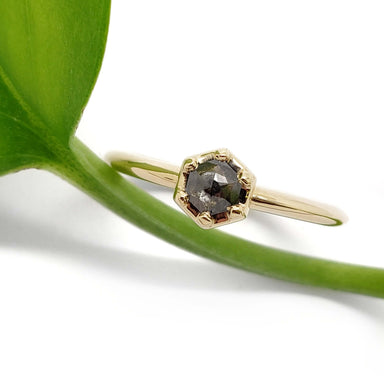 Hexagon salt and pepper diamond ring in 14kt yellow gold beside a green leaf