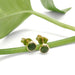 14kt yellow gold jade stud earrings resting on a green plant stem