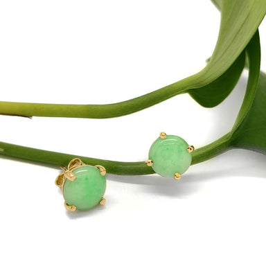 14kt yellow gold jade stud earrings displayed on green plant stems