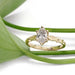 Lab diamond engagement ring in yellow gold with leaf motif, styled with green plant