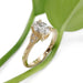 Lucia II 14kt yellow gold lab diamond ring with vintage-inspired accents beside a green leaf