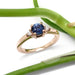 Montana sapphire and Canadian diamond engagement ring in rose gold, styled with green stem