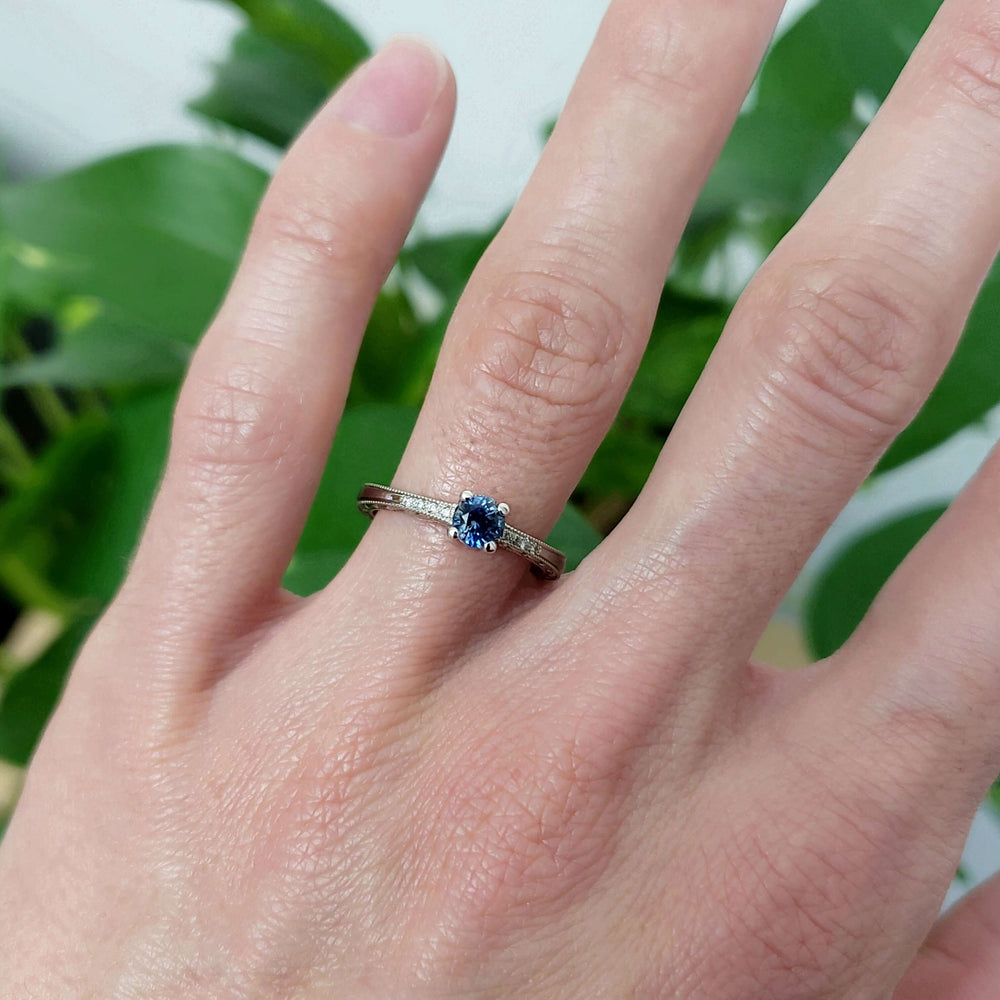Montana sapphire and diamond white gold ring shown on hand, with green leaves in background