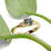 Montana sapphire leaf engagement ring in yellow gold beside green leaves