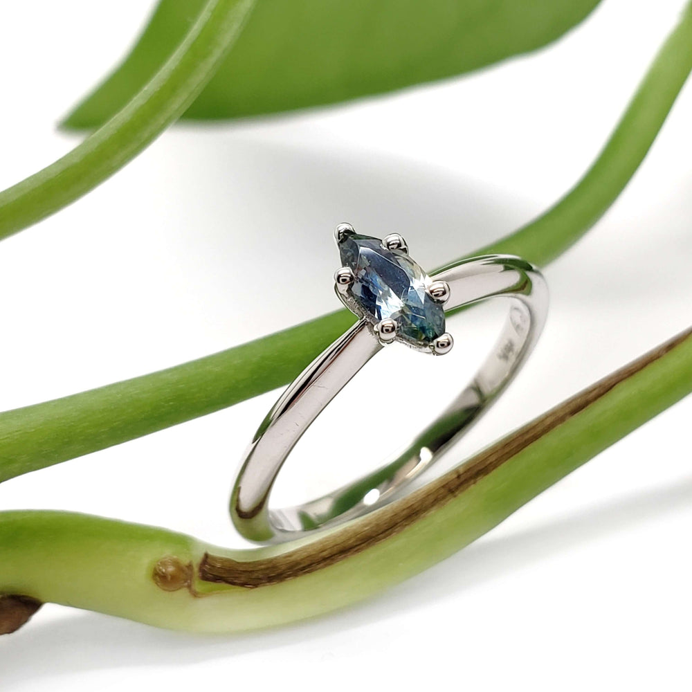 Montana sapphire marquise engagement ring in 14kt white gold resting on a green plant stem