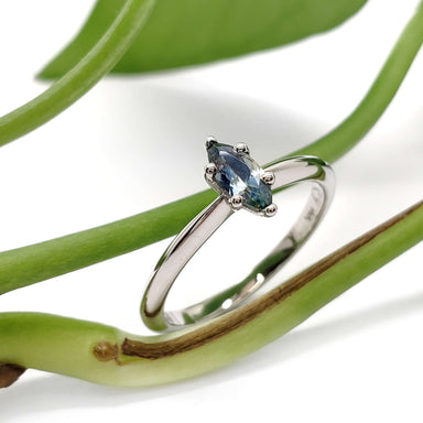 Montana sapphire marquise engagement ring in 14kt white gold resting on a green plant stem
