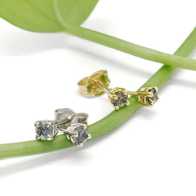 Montana sapphire stud earrings in yellow and white 14kt gold displayed on a green stem
